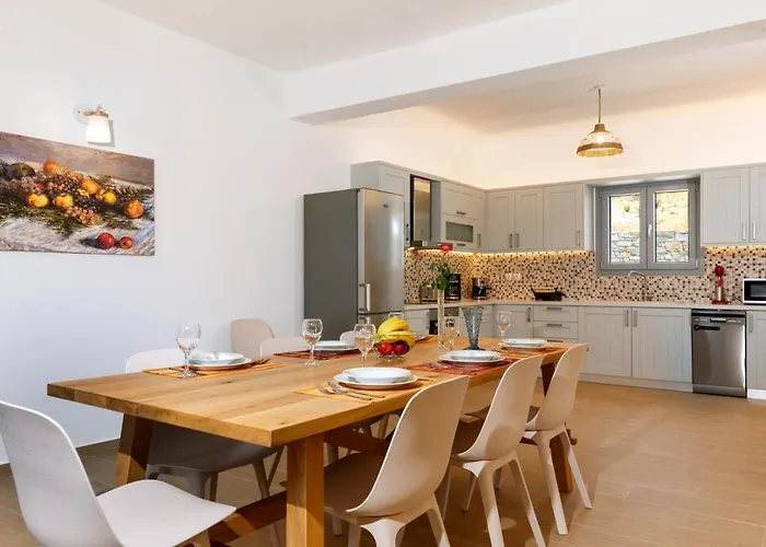 Villa Jessy 150m² With Full Privacy Páros